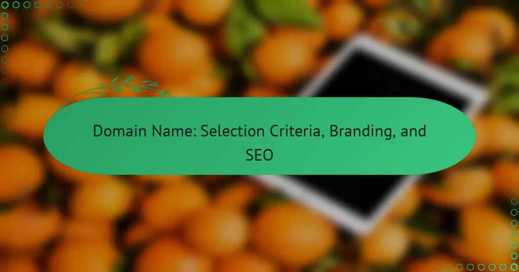 Критерии отбора, брендинг и SEO