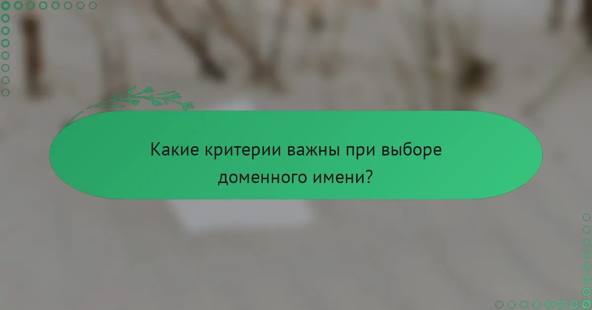 Какие критерии важны при выборе доменного имени?