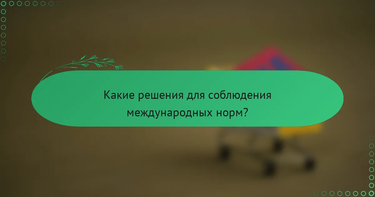 Какие решения для соблюдения международных норм?